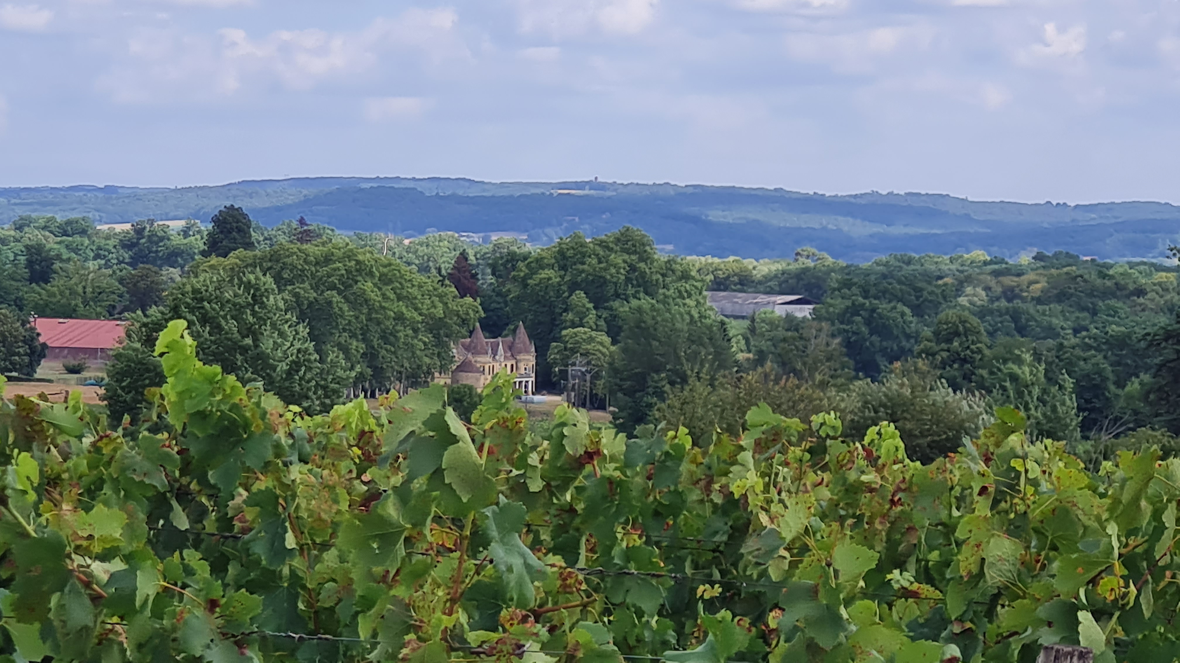 Vignobles et paysages